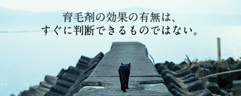 効果があるか無いかはすぐに判断しない