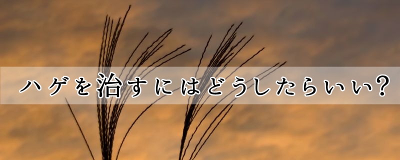 ハゲを治すにはどうしたらいい?